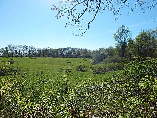 $710,000 | 565 West Leonard Road, Leonard, MI 48367