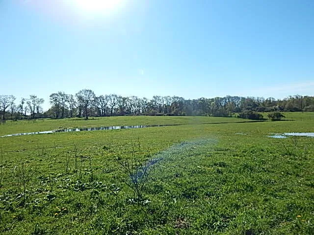 $710,000 | 565 West Leonard Road, Leonard, MI 48367