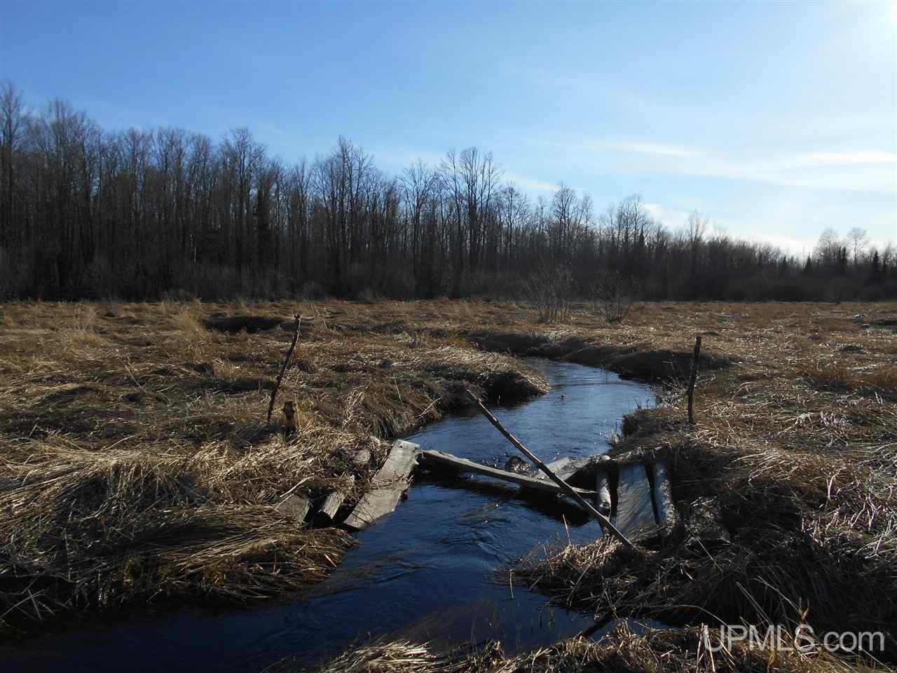 Tbd Off Heikkila Road Ironwood, MI 49938 - Photo 2 of 13
