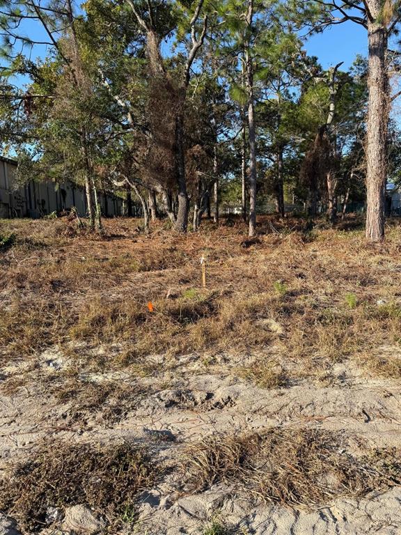 13786 Linden Drive Spring Hill, FL 34609 - Photo 2 of 4 a view of house with a outdoor space
