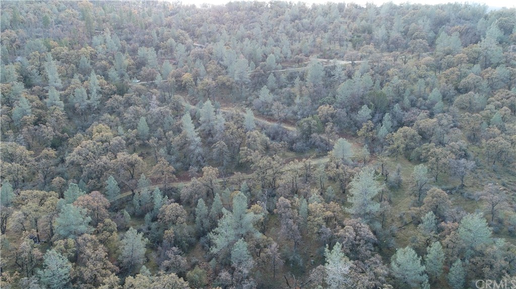 11 Paddy Hill Road Mariposa, CA 95338 - Photo 1 of 1 Gallery Image 1