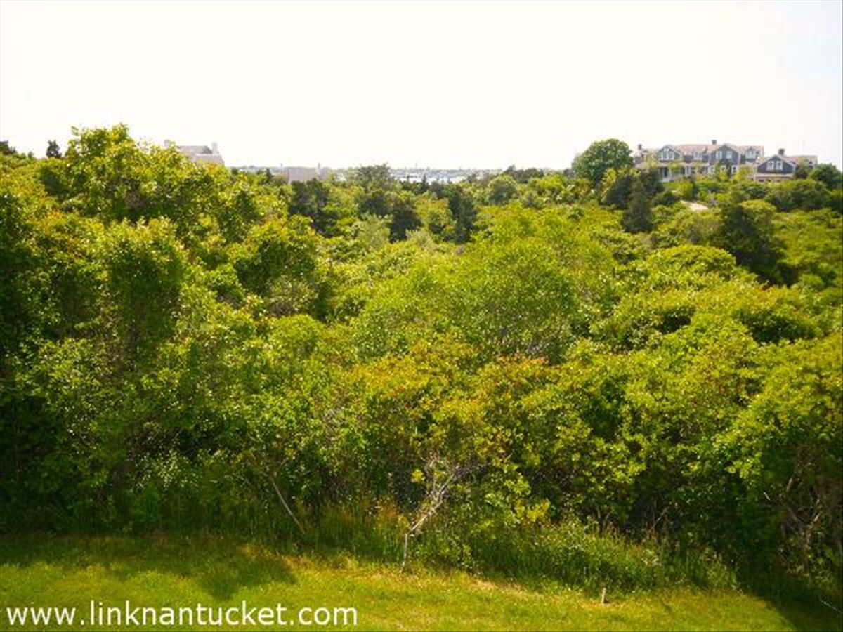 28 Gardner Road Nantucket, MA 02554 - Photo 13 of 13 Gallery Image 13
