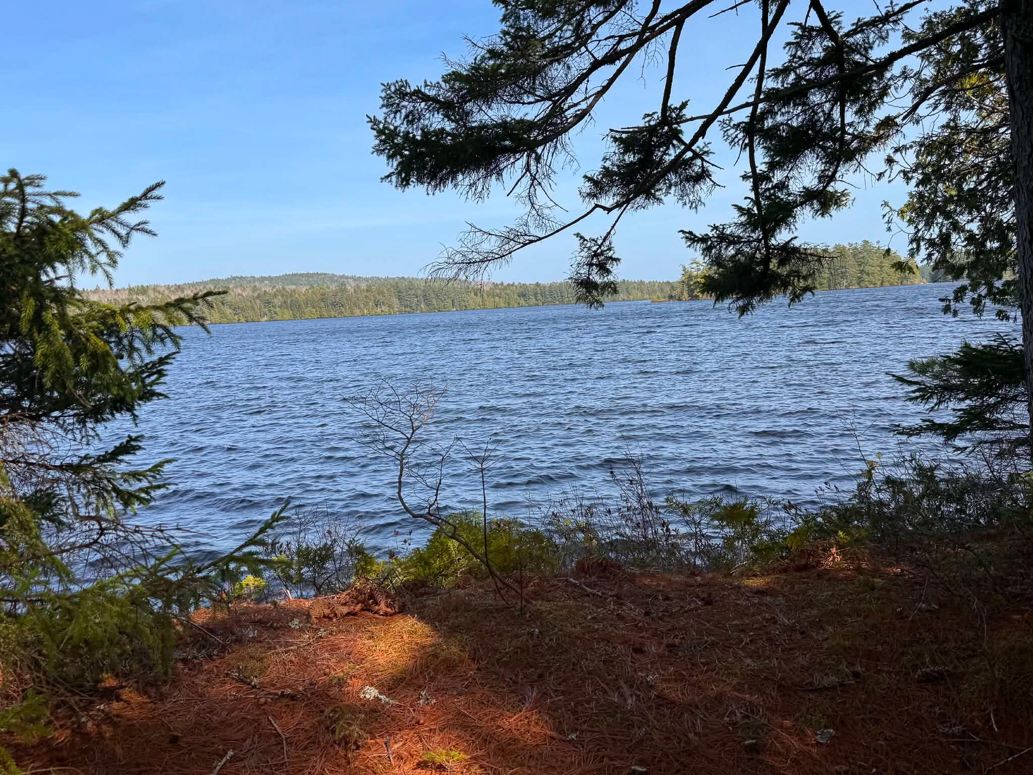Lot 112 Off Boat Landing Road Wesley, ME 04686 - Photo 16 of 17 b