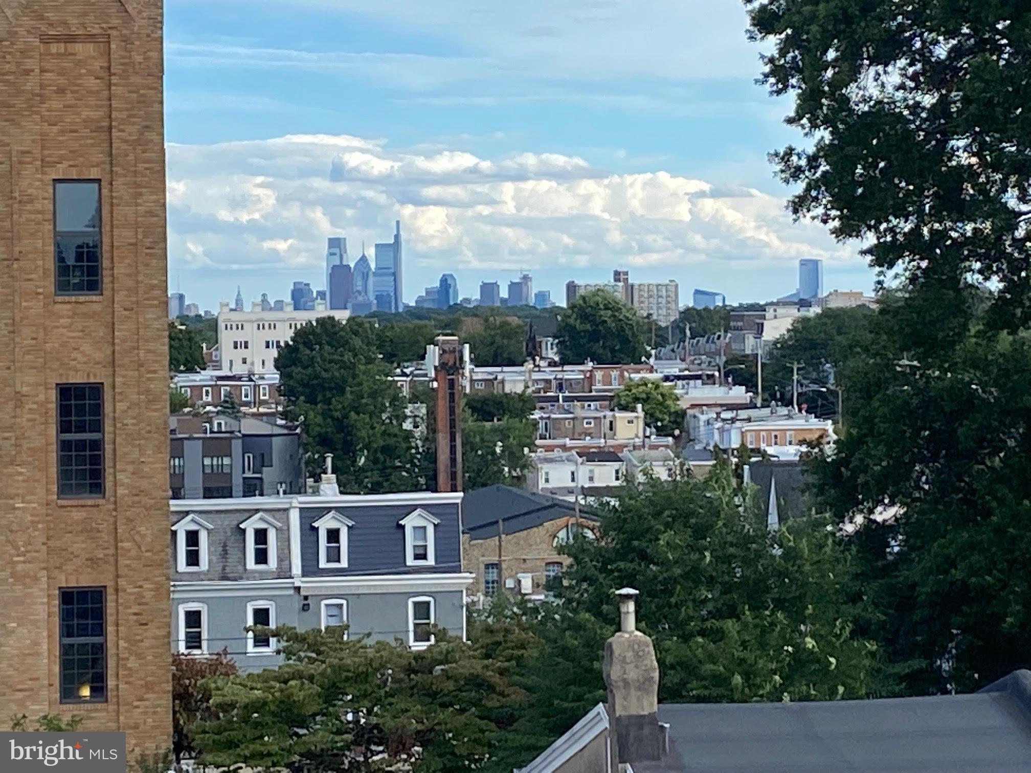 416 Rector Street, Unit B Philadelphia, PA 19128 - Photo 23 of 25 Roof deck view towards skyline