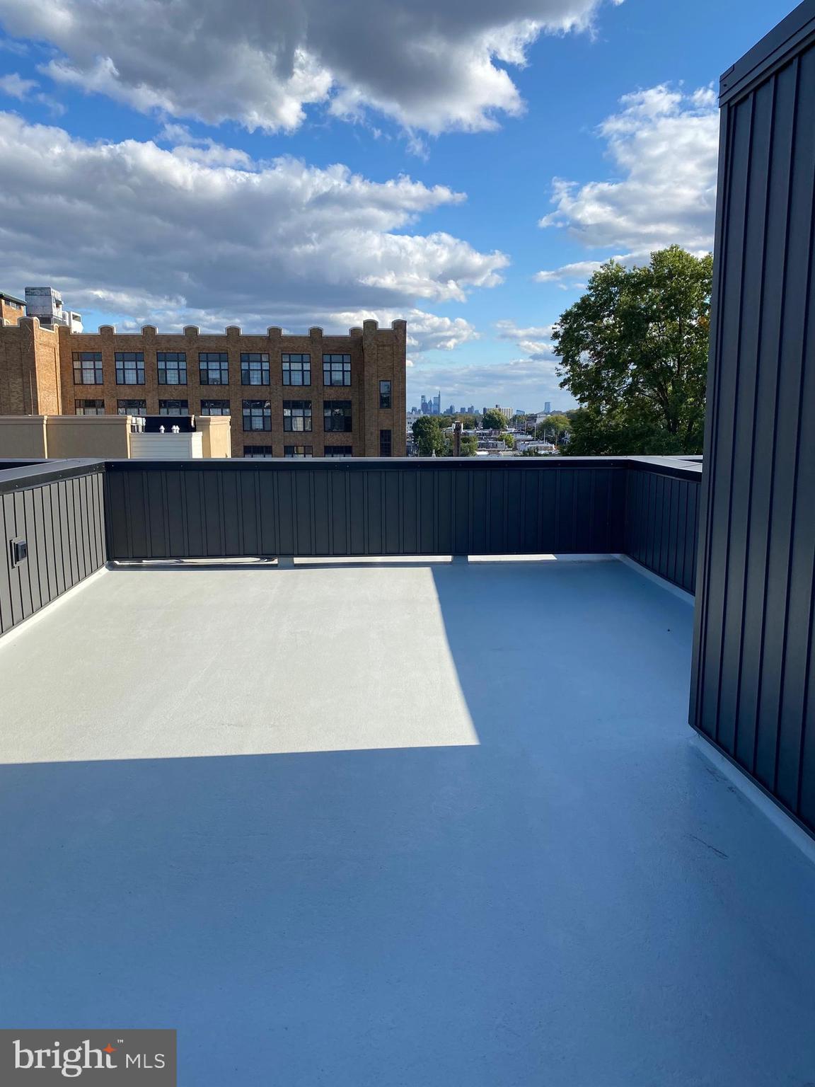 416 Rector Street, Unit B Philadelphia, PA 19128 - Photo 24 of 25 Roof deck