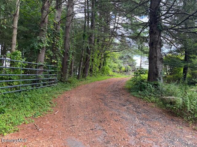 11 Rowe Road Alford, MA 01230 - Photo 3 of 11 a view of outdoor space and yard