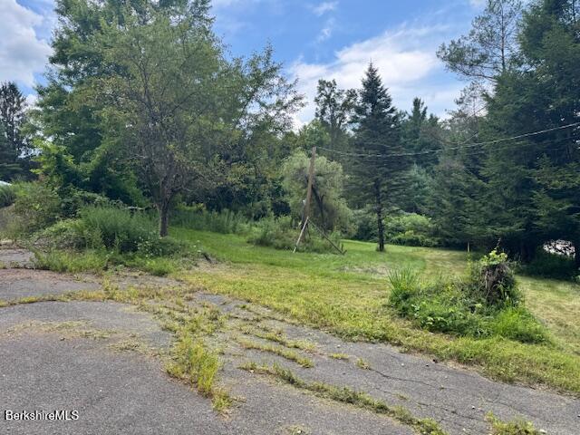 11 Rowe Road Alford, MA 01230 - Photo 4 of 11 a view of a lush green forest