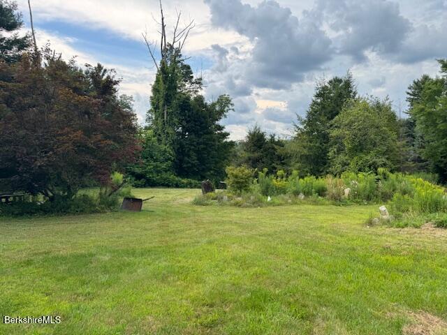 11 Rowe Road Alford, MA 01230 - Photo 6 of 11 a backyard of a house with lots of green space