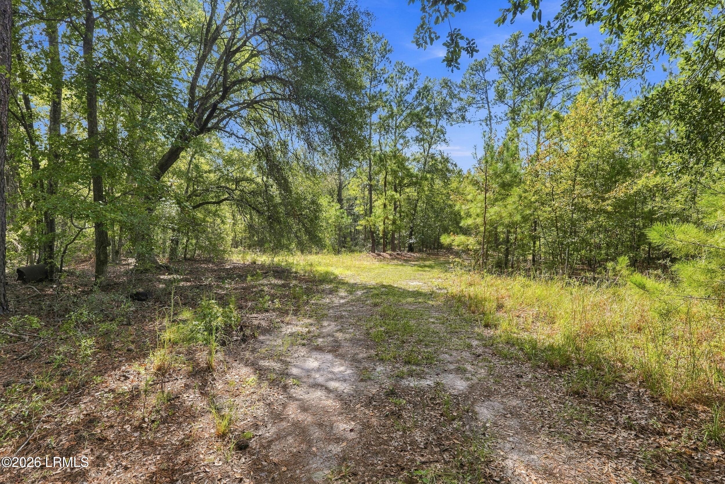 Tbd Calf Pen Bay Road Pineland, SC 29934 - Photo 7 of 14 4_dsc08177
