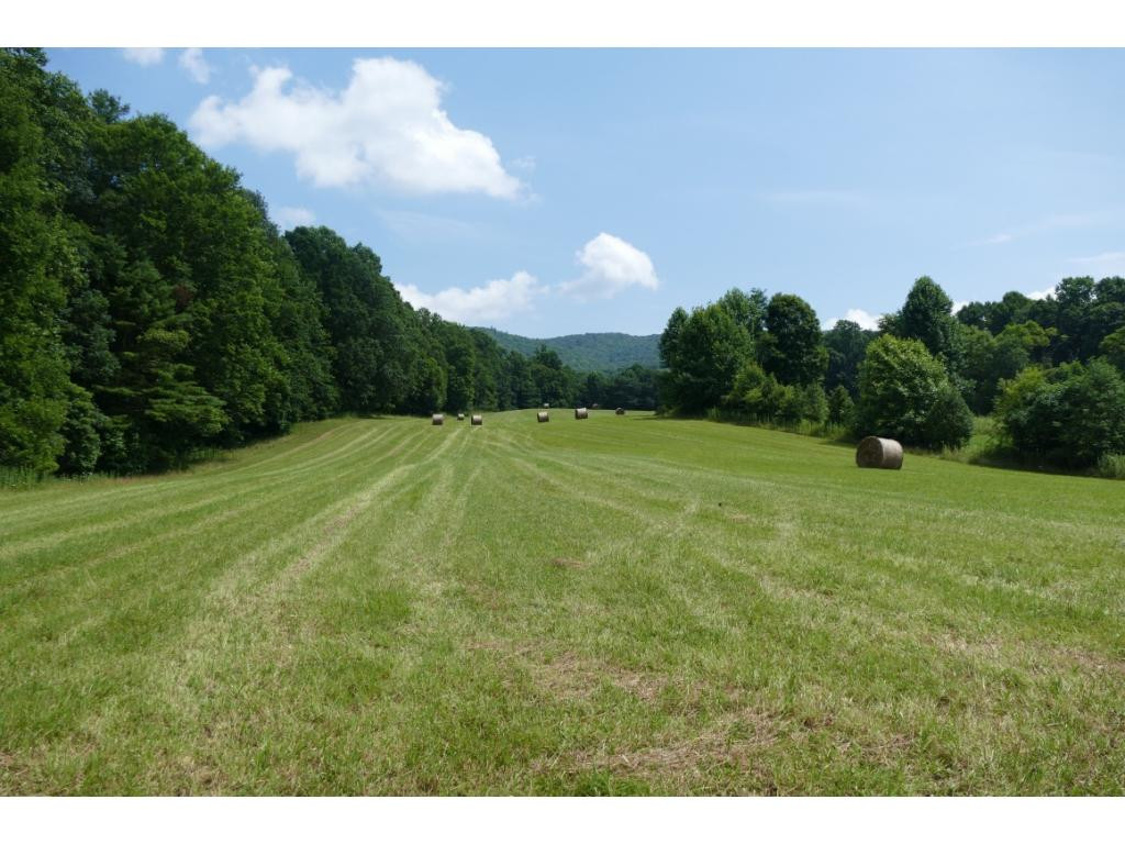 Tbd Sluder Road Shady Valley, TN 37688 - Photo 1 of 15 Photo 1
