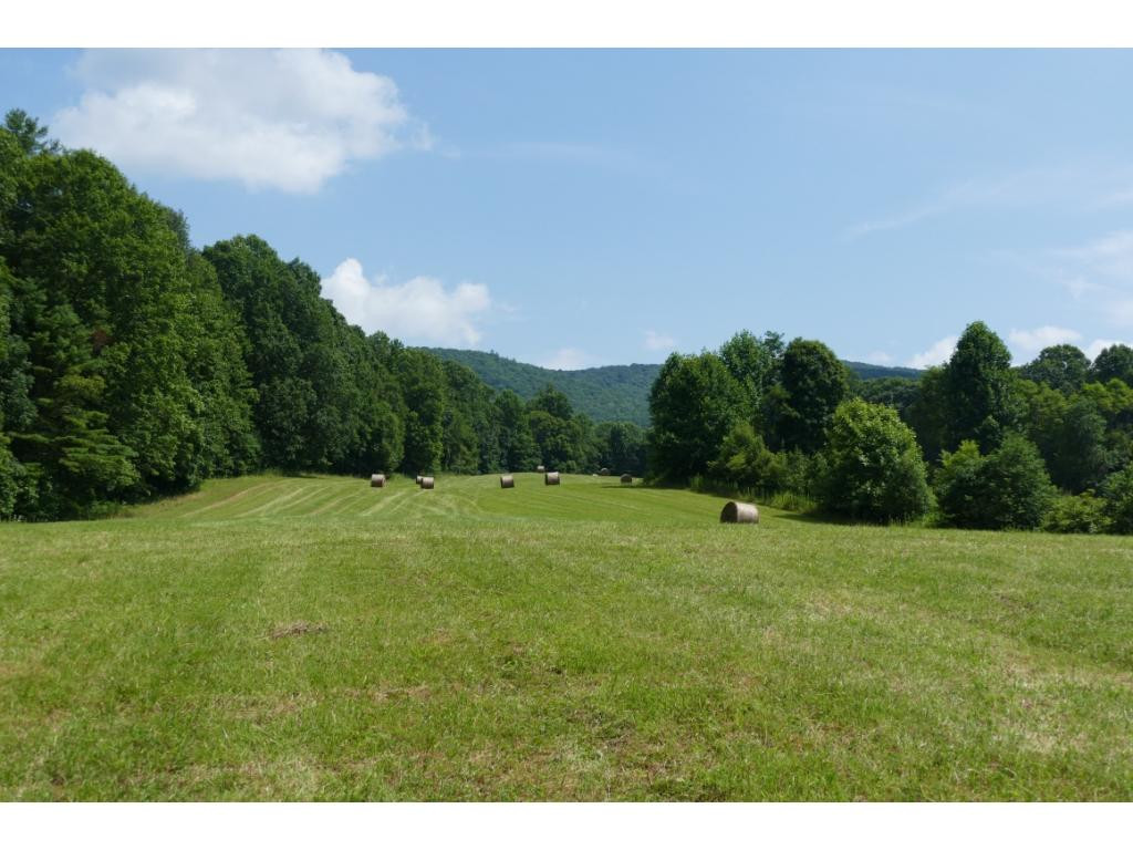 Tbd Sluder Road Shady Valley, TN 37688 - Photo 11 of 15 Photo 11