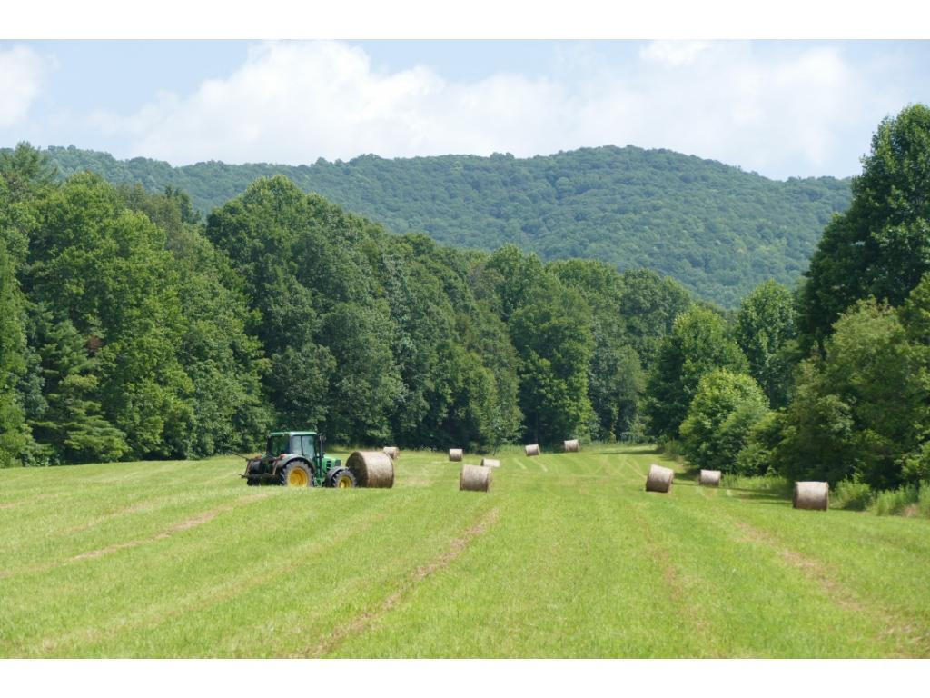 Tbd Sluder Road Shady Valley, TN 37688 - Photo 14 of 15 Photo 15