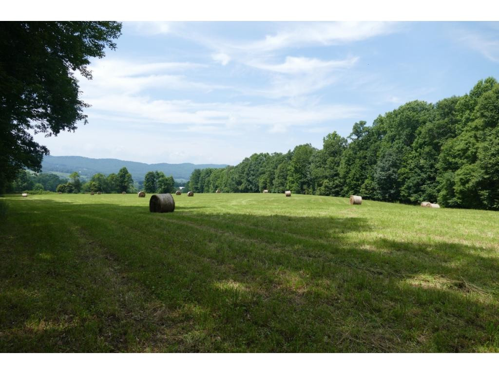 Tbd Sluder Road Shady Valley, TN 37688 - Photo 15 of 15 Photo 16