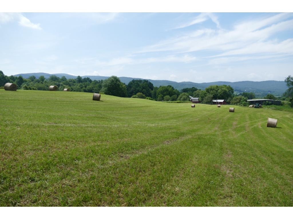 Tbd Sluder Road Shady Valley, TN 37688 - Photo 2 of 15 Photo 2