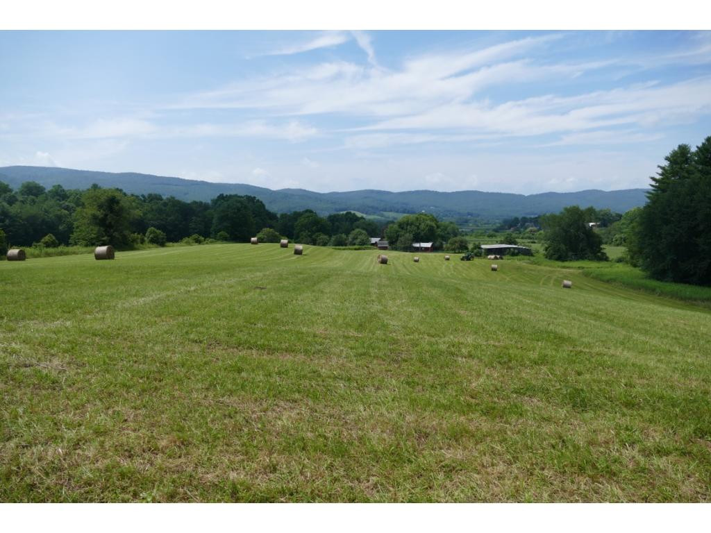 Tbd Sluder Road Shady Valley, TN 37688 - Photo 4 of 15 Photo 4