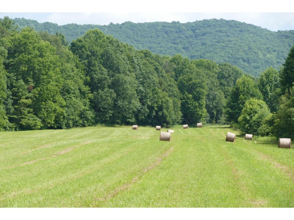 Tbd Sluder Road Shady Valley, TN 37688 - Photo 5 of 15 Photo 5