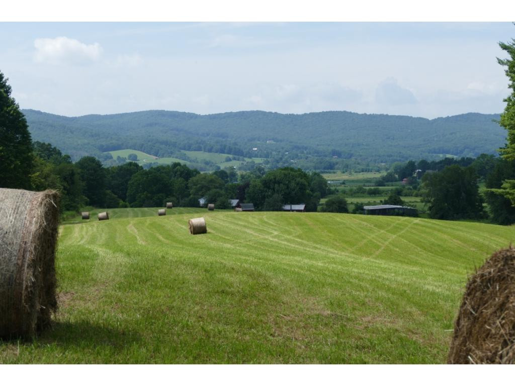 Tbd Sluder Road Shady Valley, TN 37688 - Photo 6 of 15 Photo 6