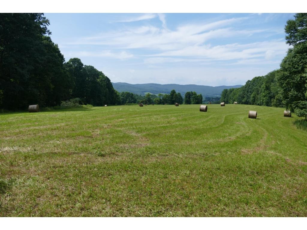 Tbd Sluder Road Shady Valley, TN 37688 - Photo 10 of 15 Photo 10