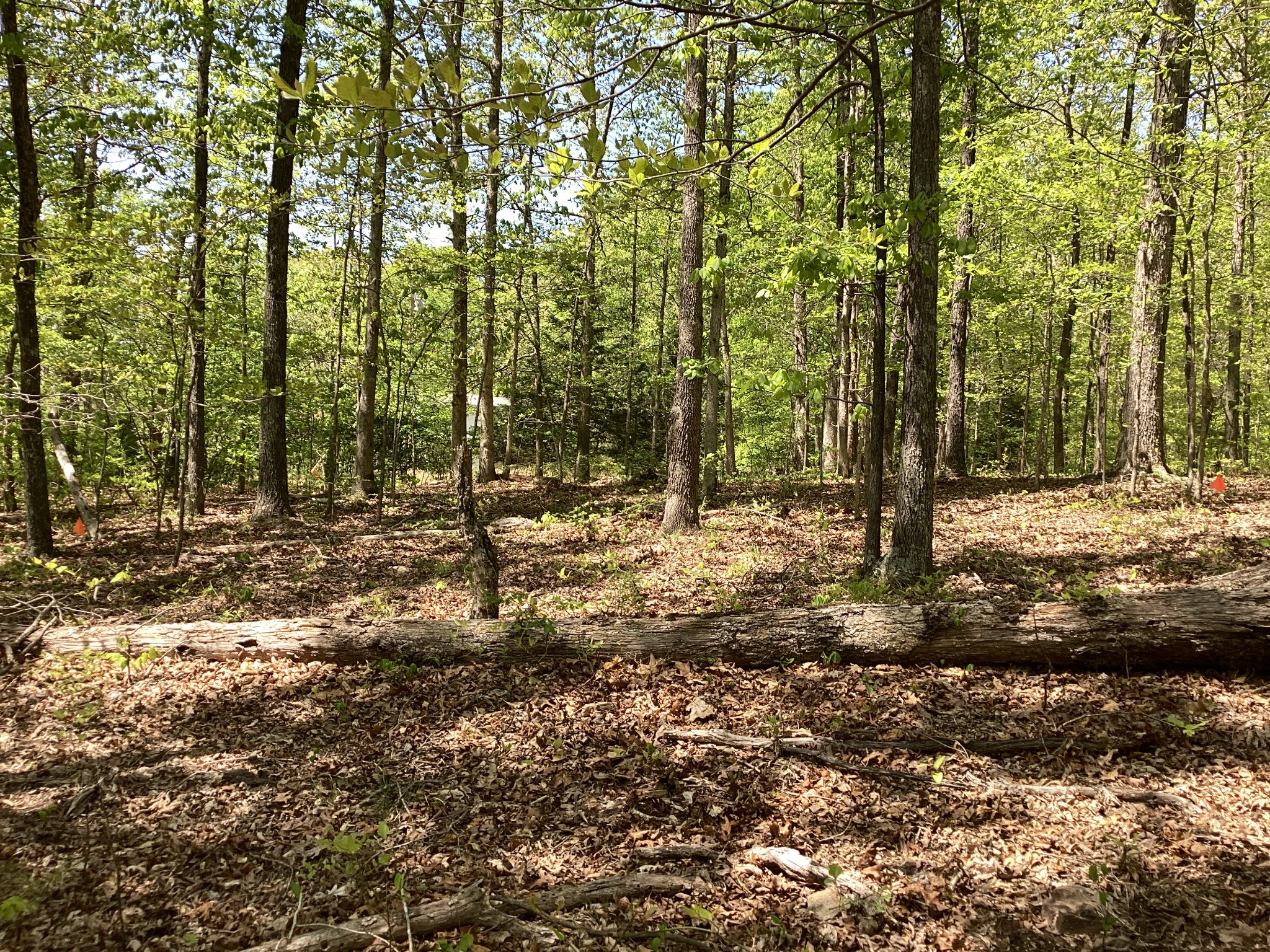 10745 Ellis Ridge Road Bon Aqua, TN 37025 - Photo 1 of 10 Gallery Image 1