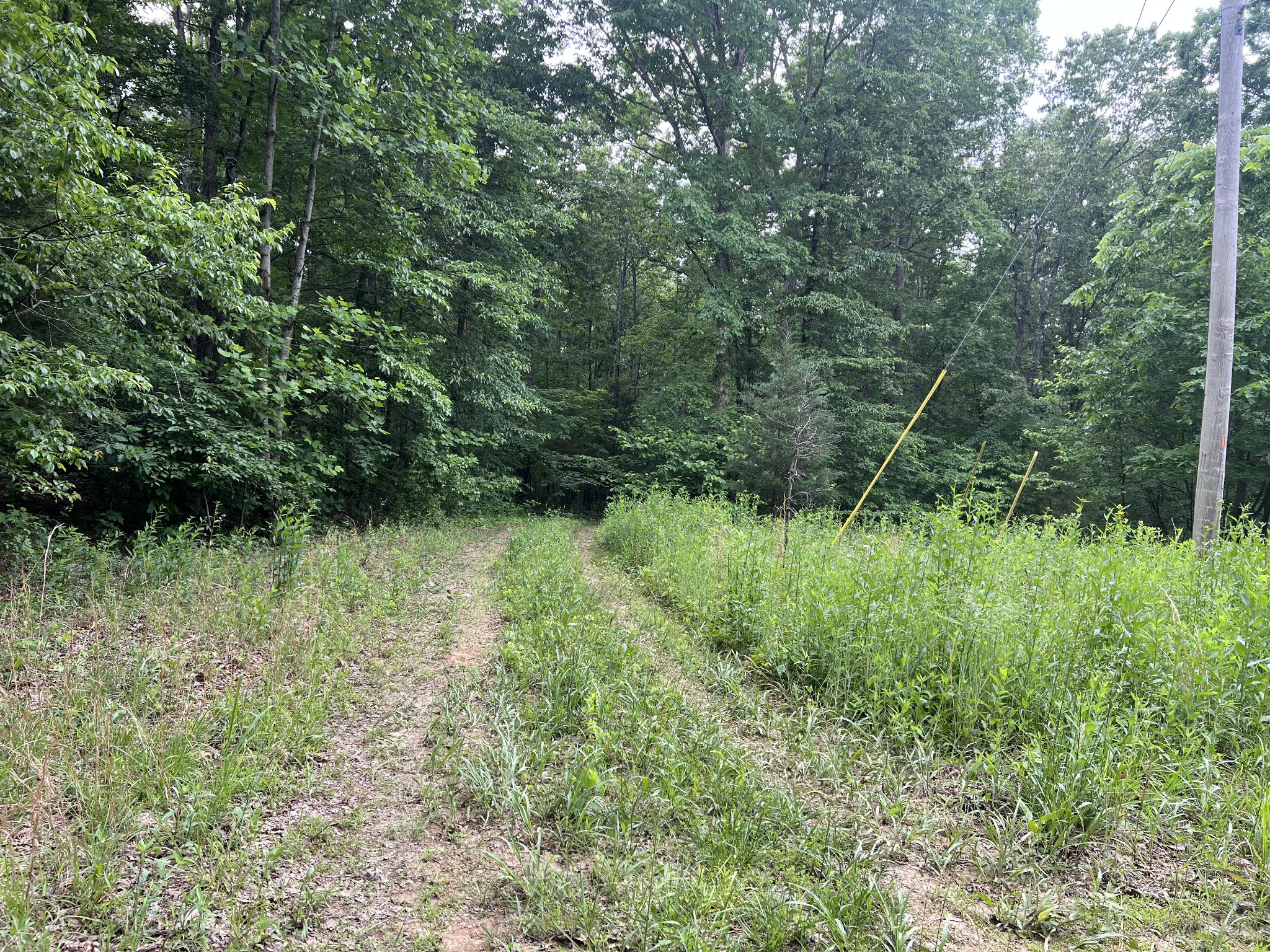 10745 Ellis Ridge Road Bon Aqua, TN 37025 - Photo 3 of 10 Gallery Image 3