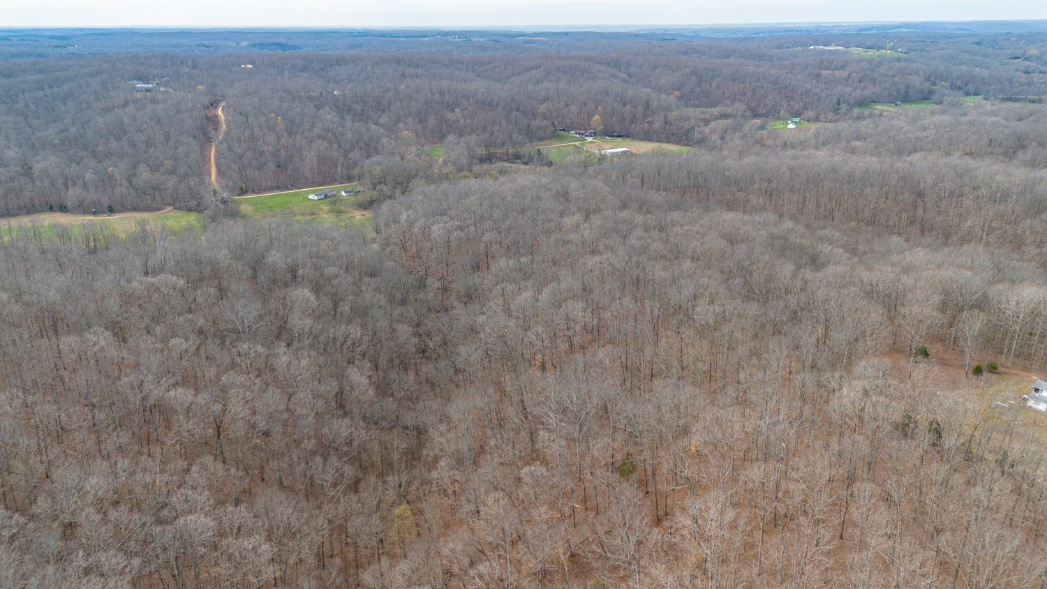 10745 Ellis Ridge Road Bon Aqua, TN 37025 - Photo 9 of 10 Gallery Image 9