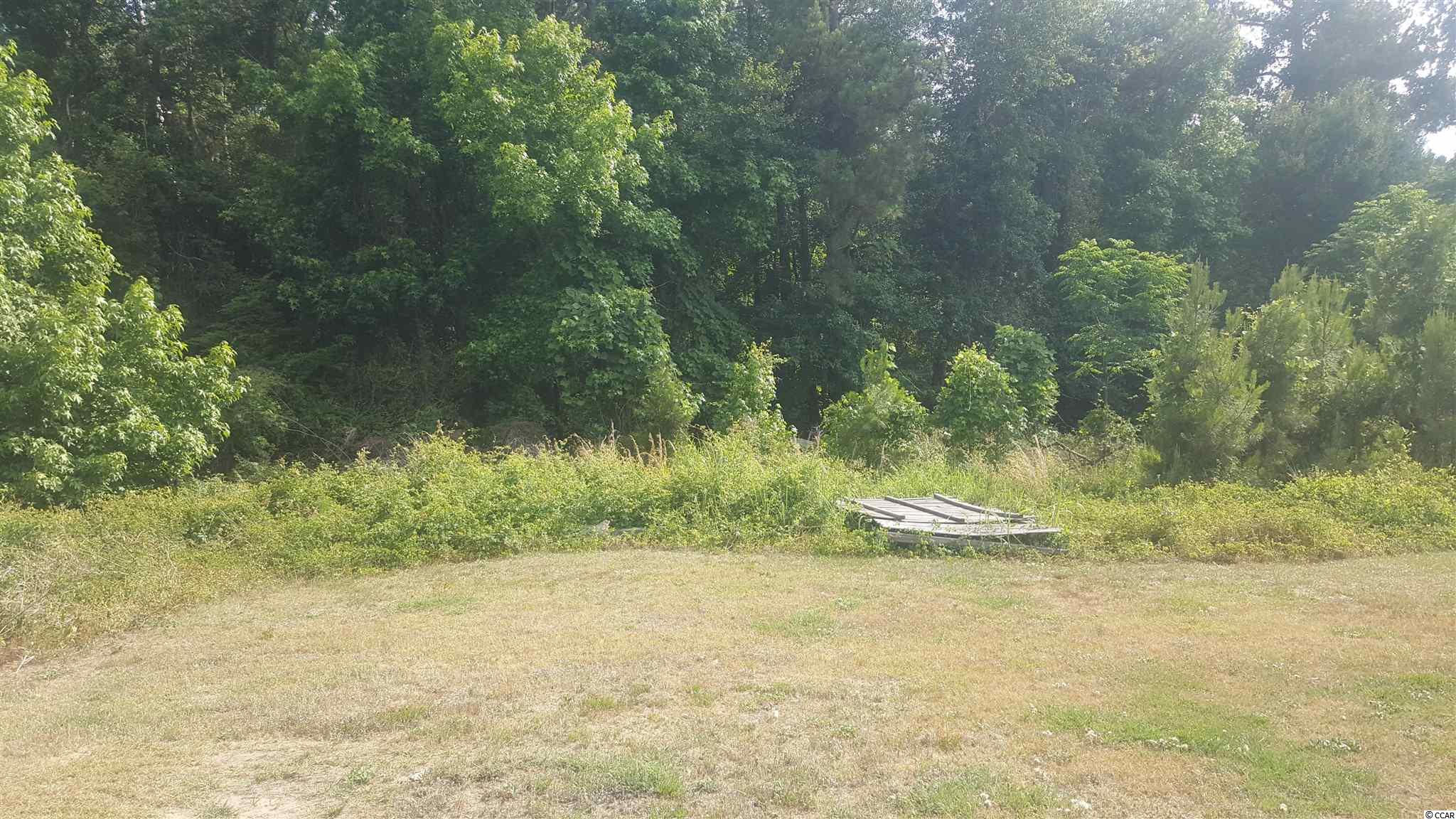 856 State Rd S-21-488 Coward, SC 29530 - Photo 13 of 15 Gallery Image 13