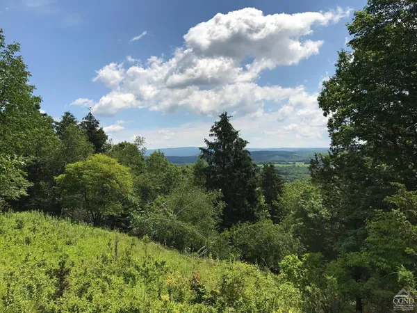 a view of a bunch of trees in background