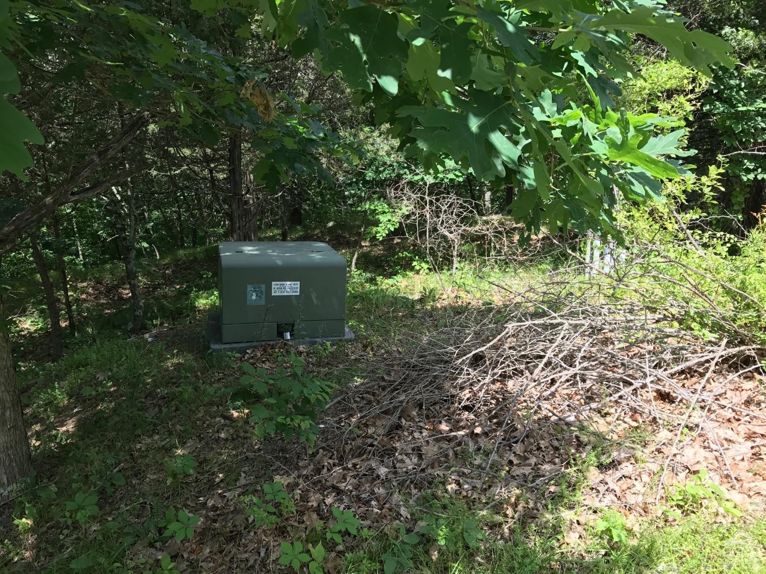 0 Co Rte 7 Pine Plains, NY 12567 - Photo 14 of 32 a view of a garden