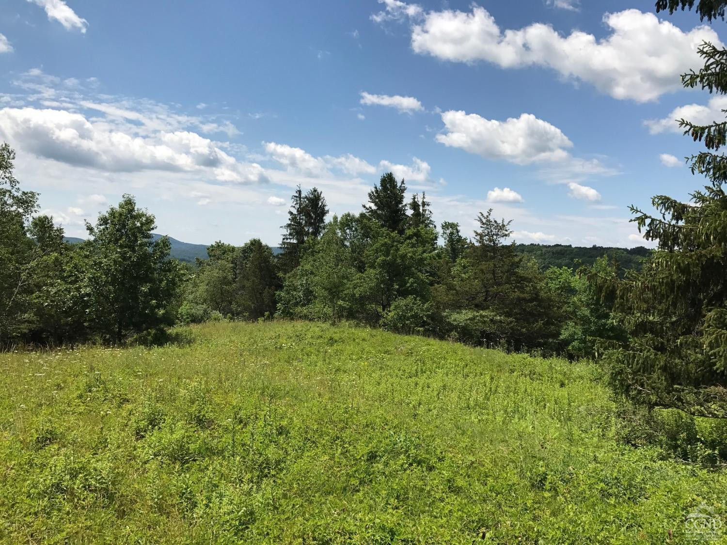 0 Co Rte 7 Pine Plains, NY 12567 - Photo 16 of 32