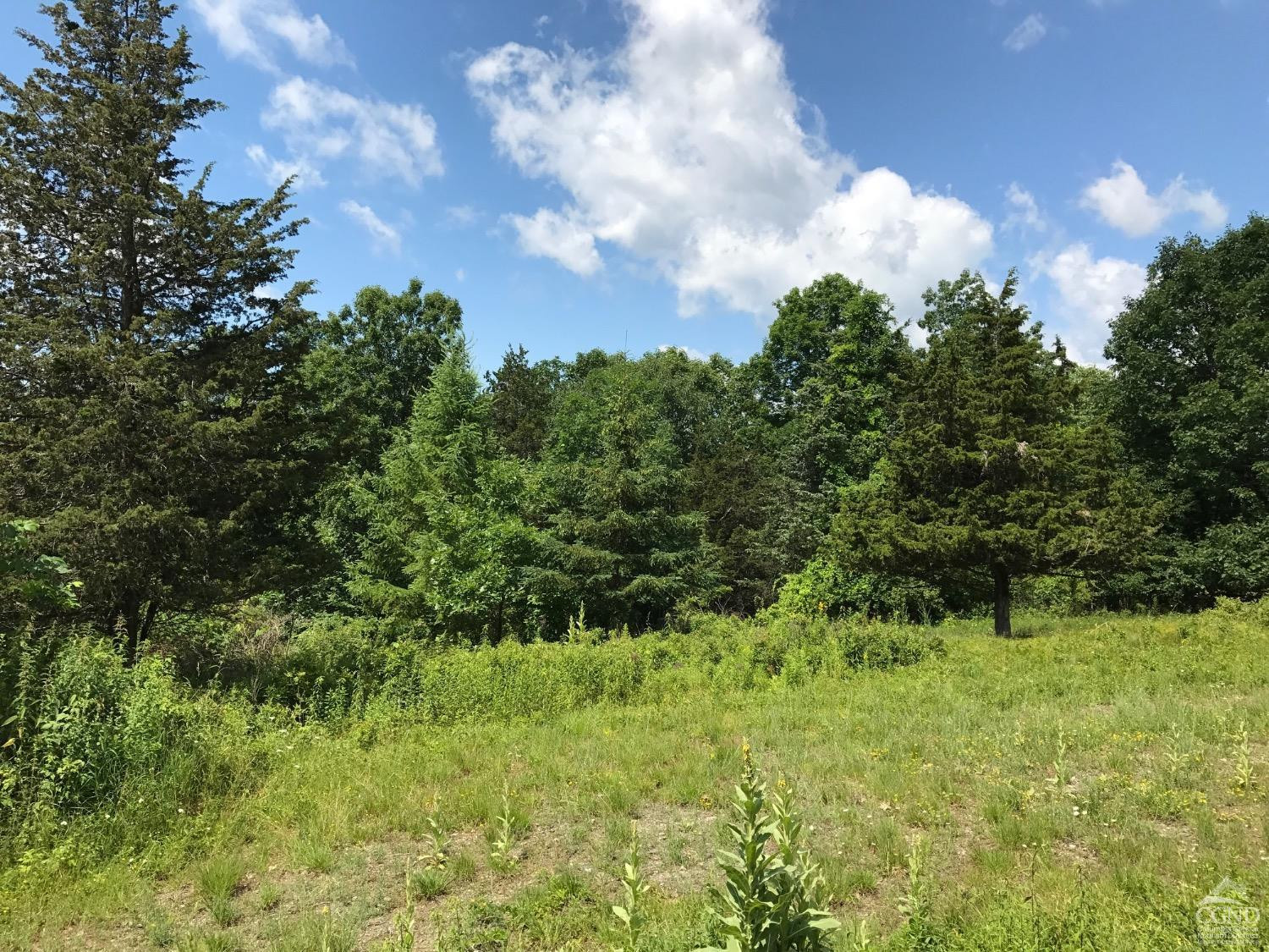 0 Co Rte 7 Pine Plains, NY 12567 - Photo 17 of 32 a view of a garden