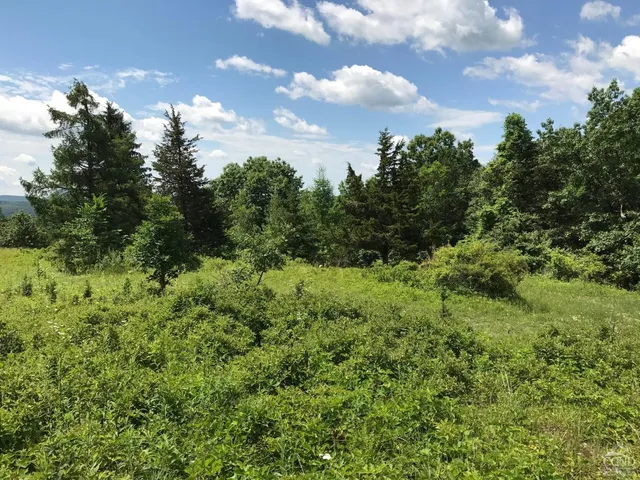 a view of a green field with lots of bushes