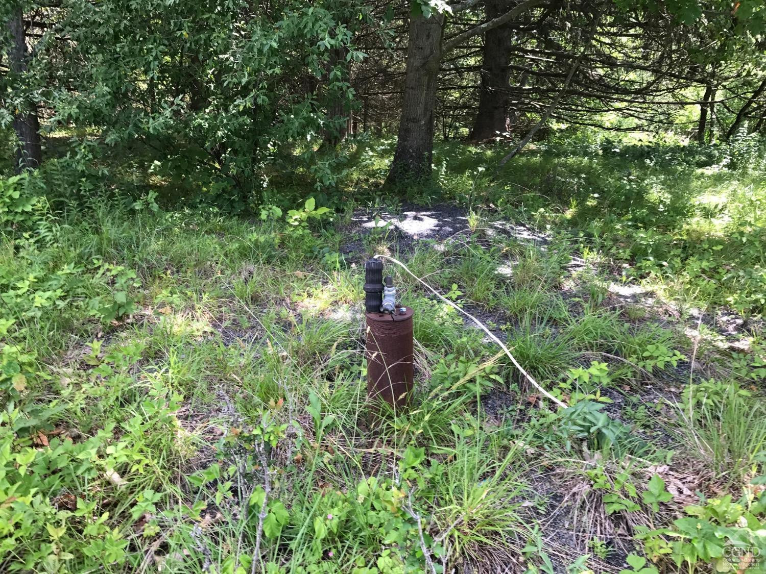 0 Co Rte 7 Pine Plains, NY 12567 - Photo 21 of 32 a fire hydrant in the middle of a forest