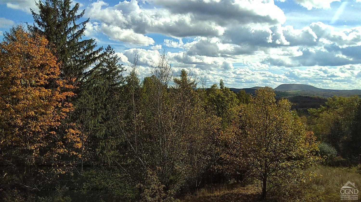 0 Co Rte 7 Pine Plains, NY 12567 - Photo 24 of 32 a view of a yard