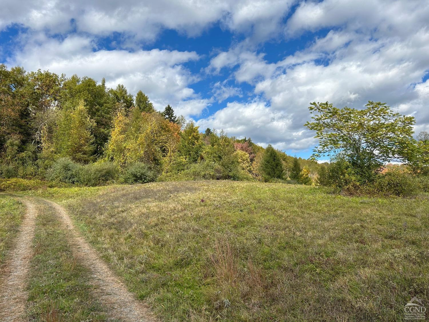 0 Co Rte 7 Pine Plains, NY 12567 - Photo 27 of 32 a view of an outdoor space and yard
