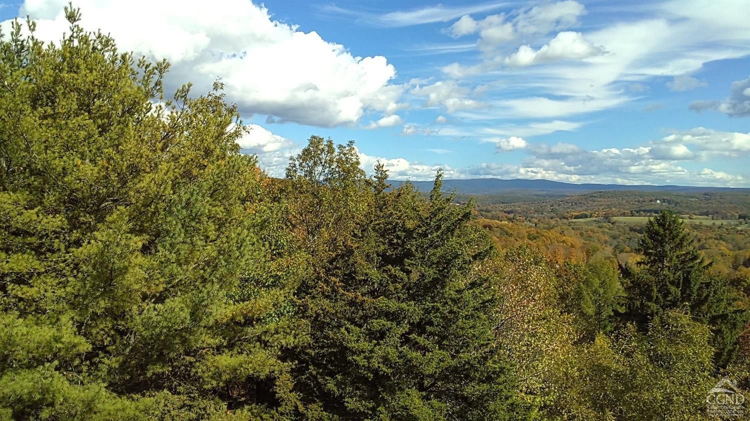 0 Co Rte 7 Pine Plains, NY 12567 - Photo 3 of 32 a view of a lake with houses in back