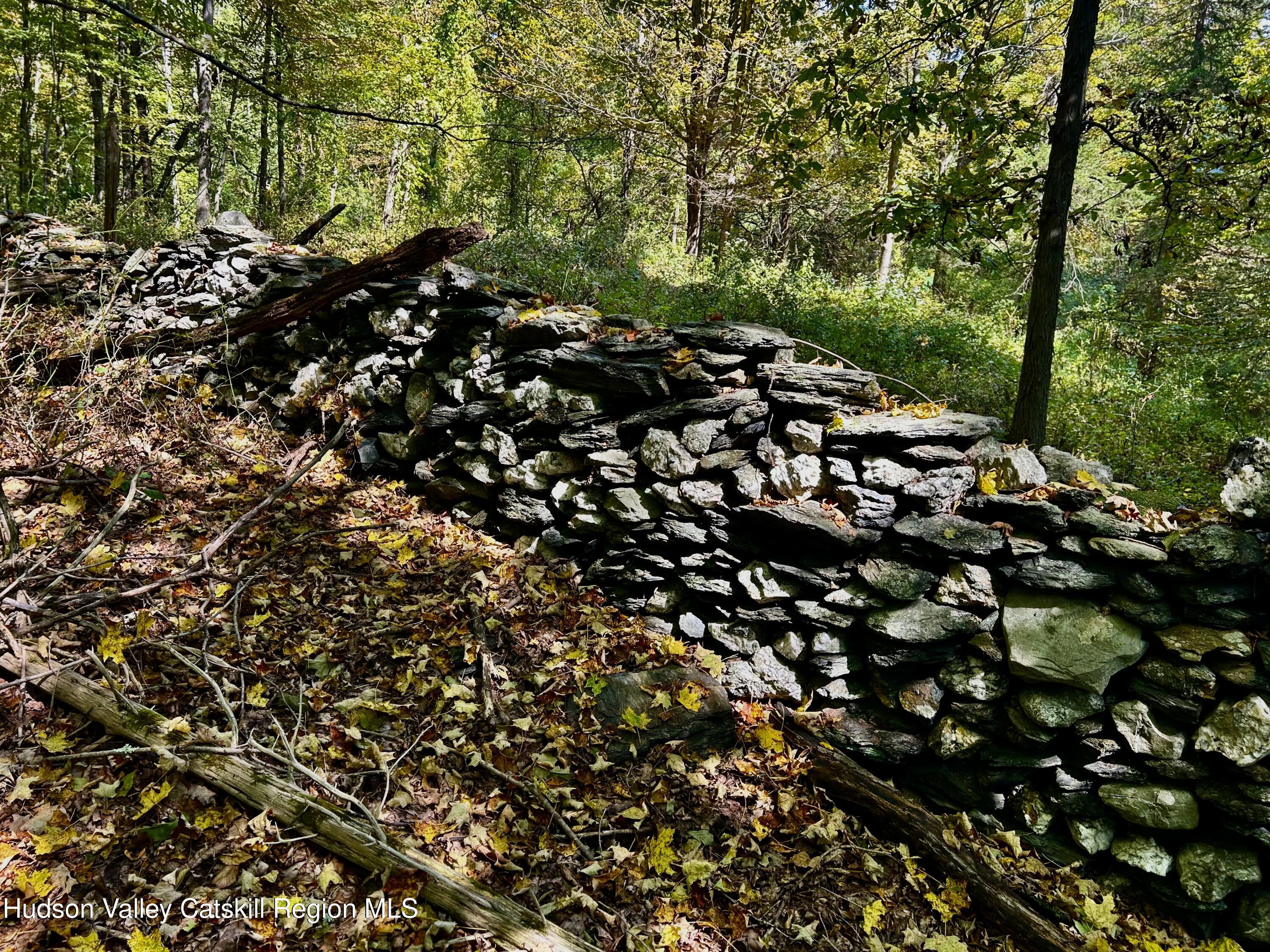 0 Co Rte 7 Pine Plains, NY 12567 - Photo 4 of 32 a picture of trees