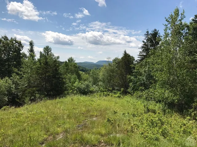 a view of outdoor space and trees