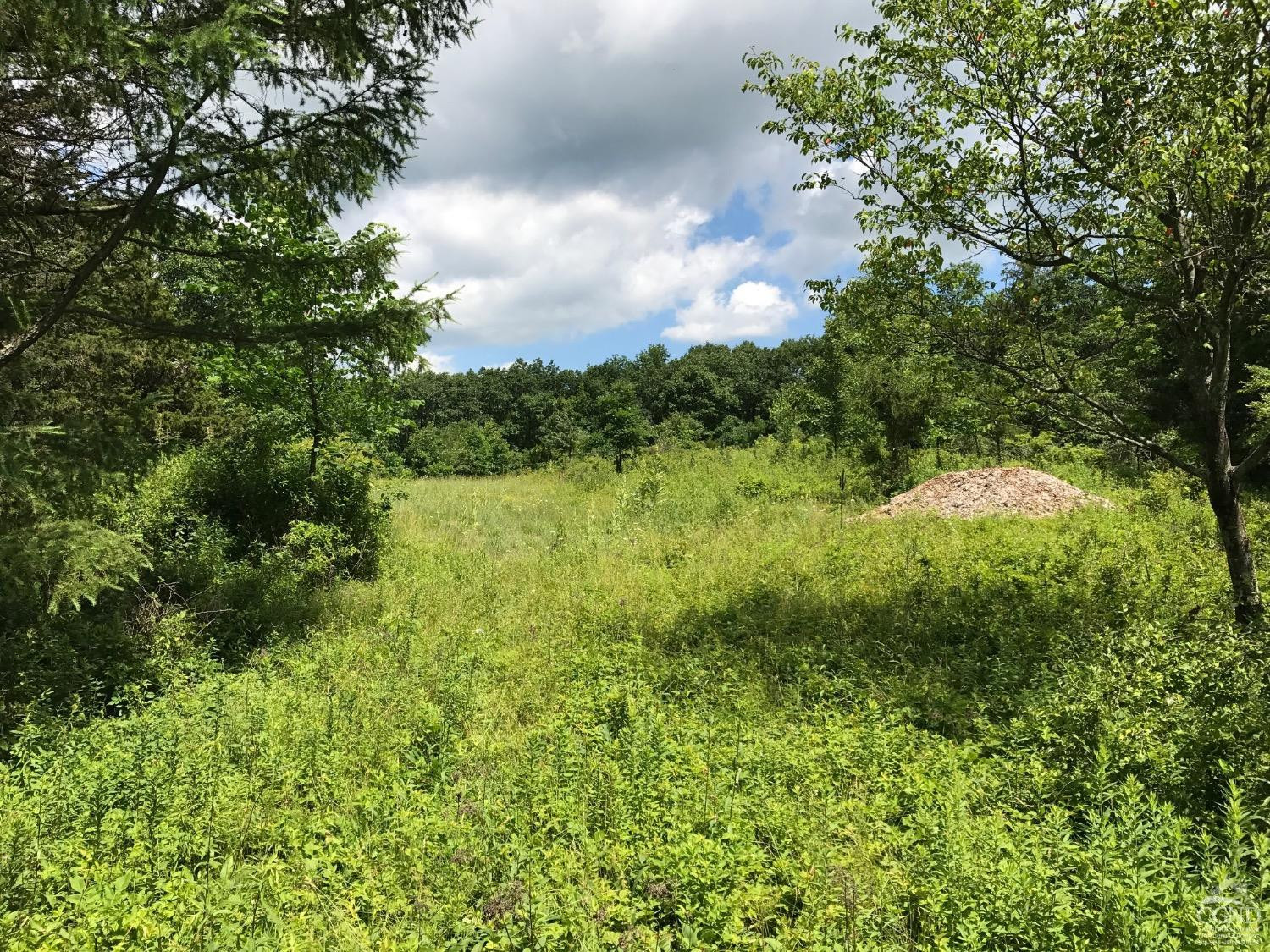 0 Co Rte 7 Pine Plains, NY 12567 - Photo 7 of 32 a view of a lush green forest with lawn chairs