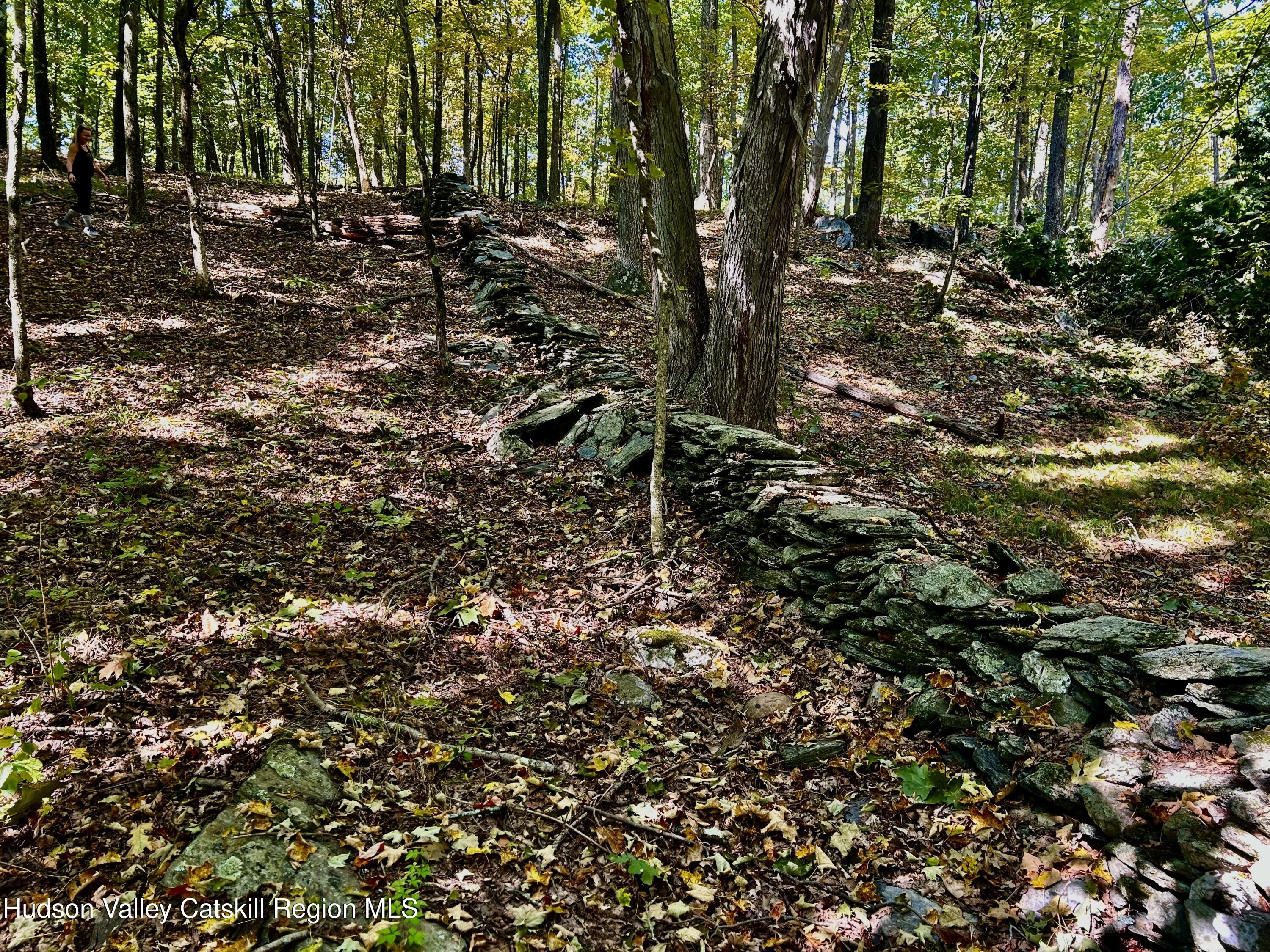 0 Co Rte 7 Pine Plains, NY 12567 - Photo 8 of 32 a view of a forest that has a tree