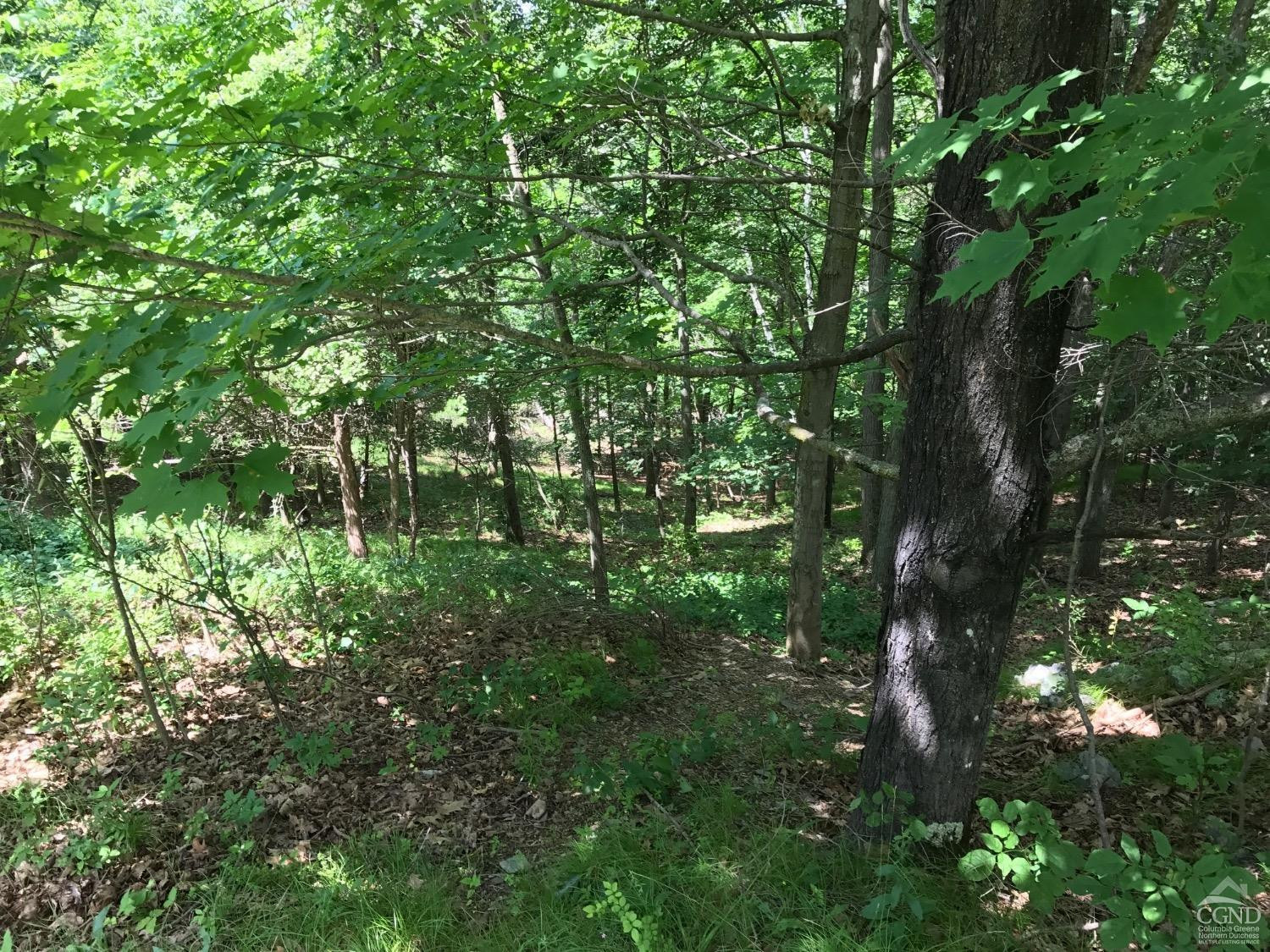 0 Co Rte 7 Pine Plains, NY 12567 - Photo 9 of 32 a backyard of a house with lots of green space and fountain
