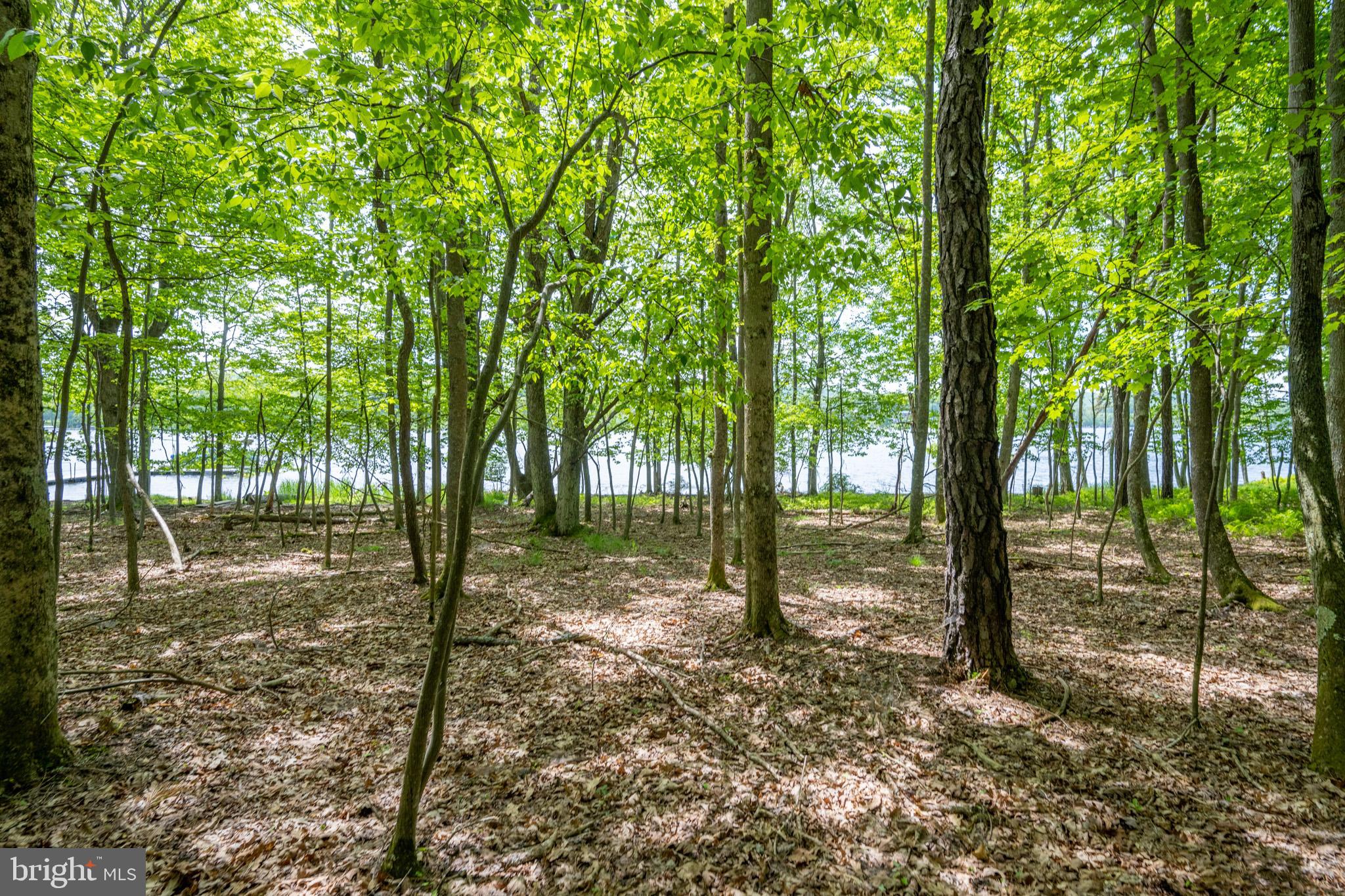 1061 Crows Point Road Swanton, MD 21561 - Photo 62 of 89
