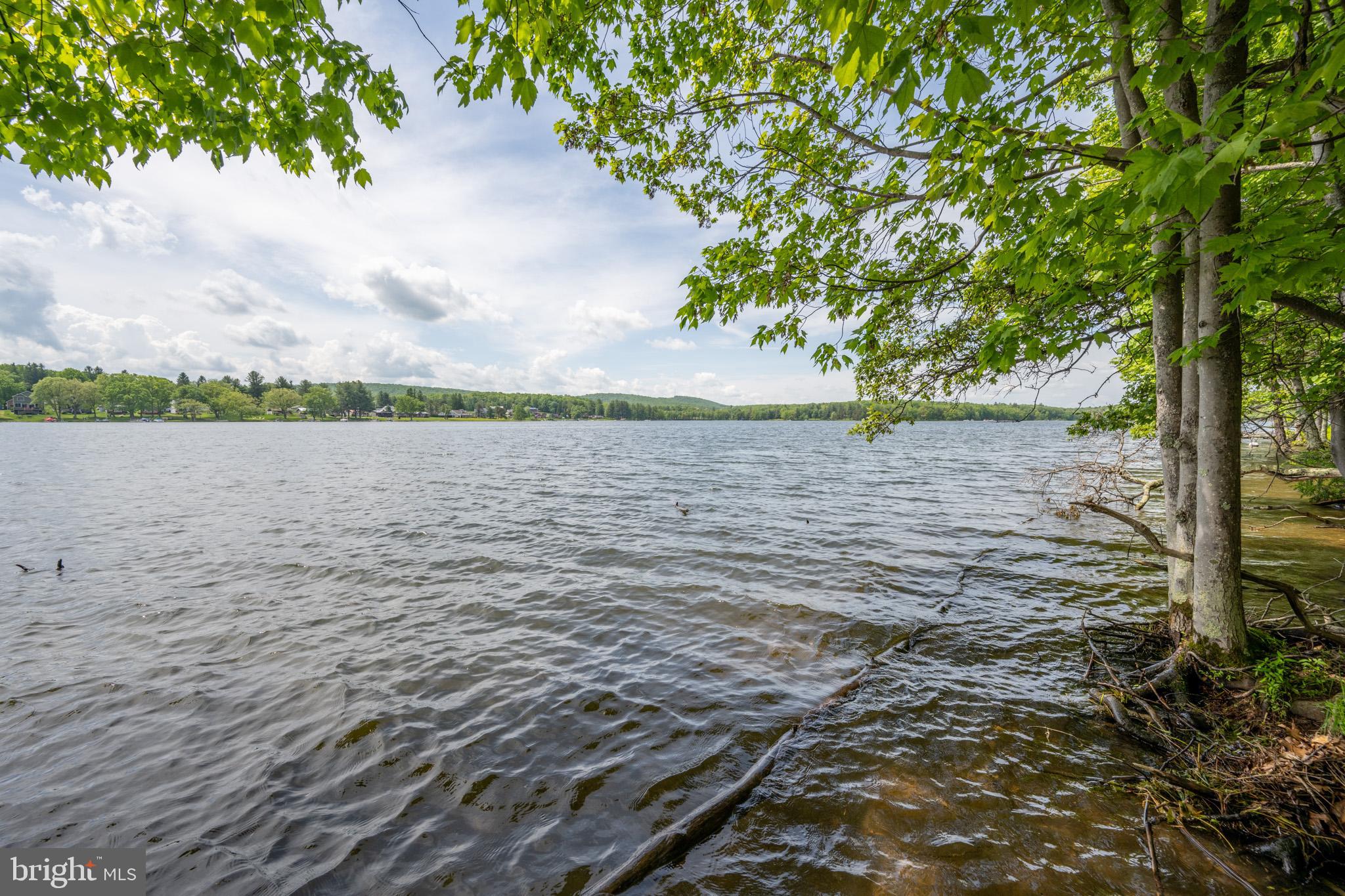 1061 Crows Point Road Swanton, MD 21561 - Photo 65 of 89
