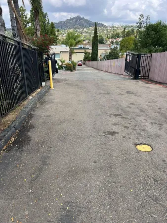 a view of a backyard