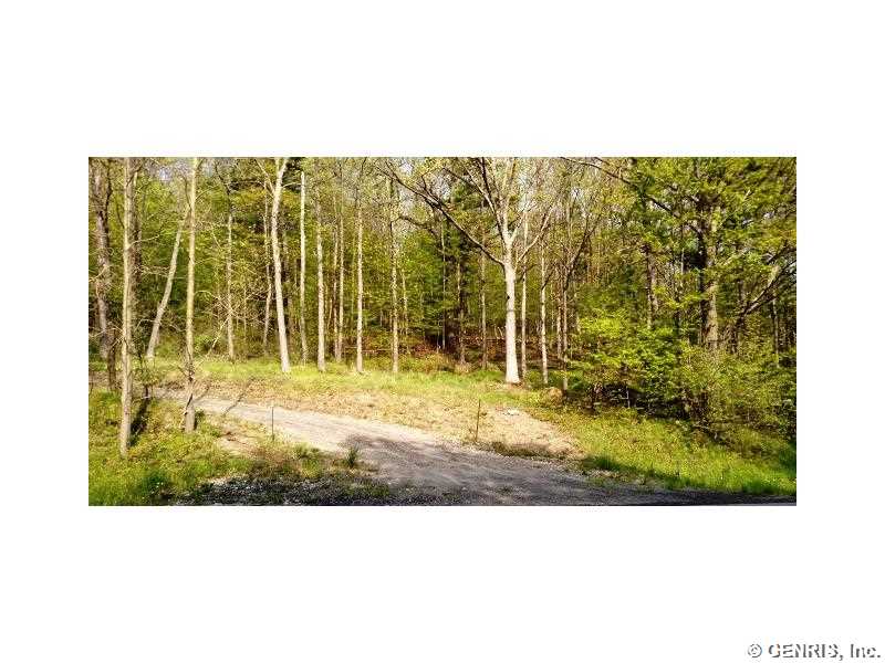 0 Egypt Road Bloomfield, NY 14469 - Photo 1 of 1 Yard.
