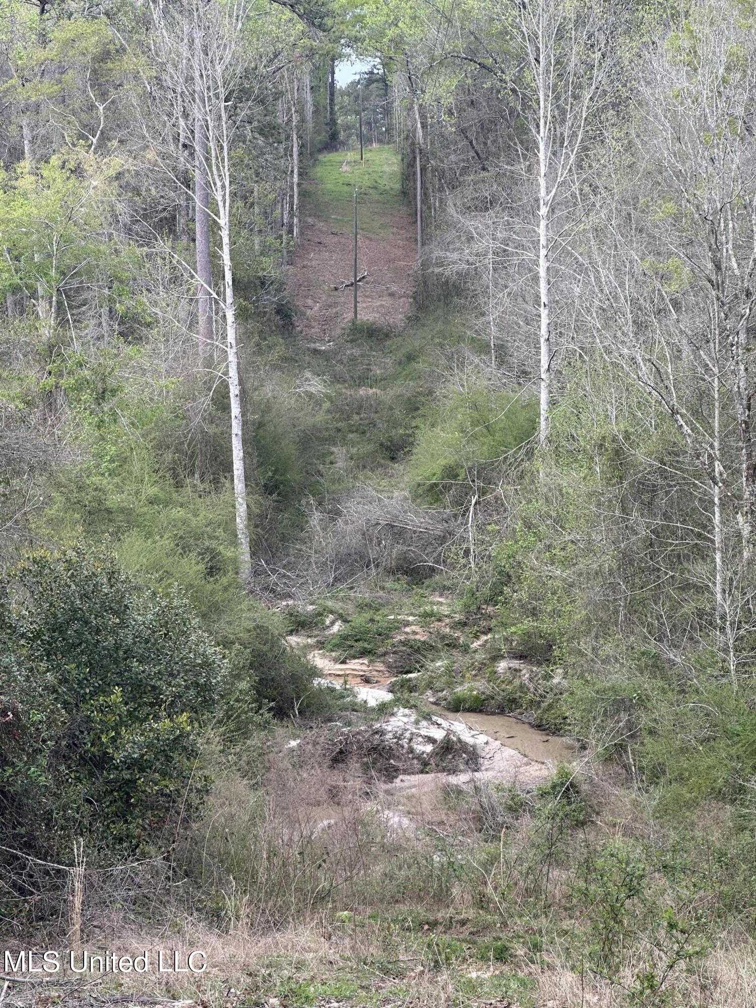 240 Mill Branch Road Pulaski, MS 39152 - Photo 16 of 18 IMG_5129