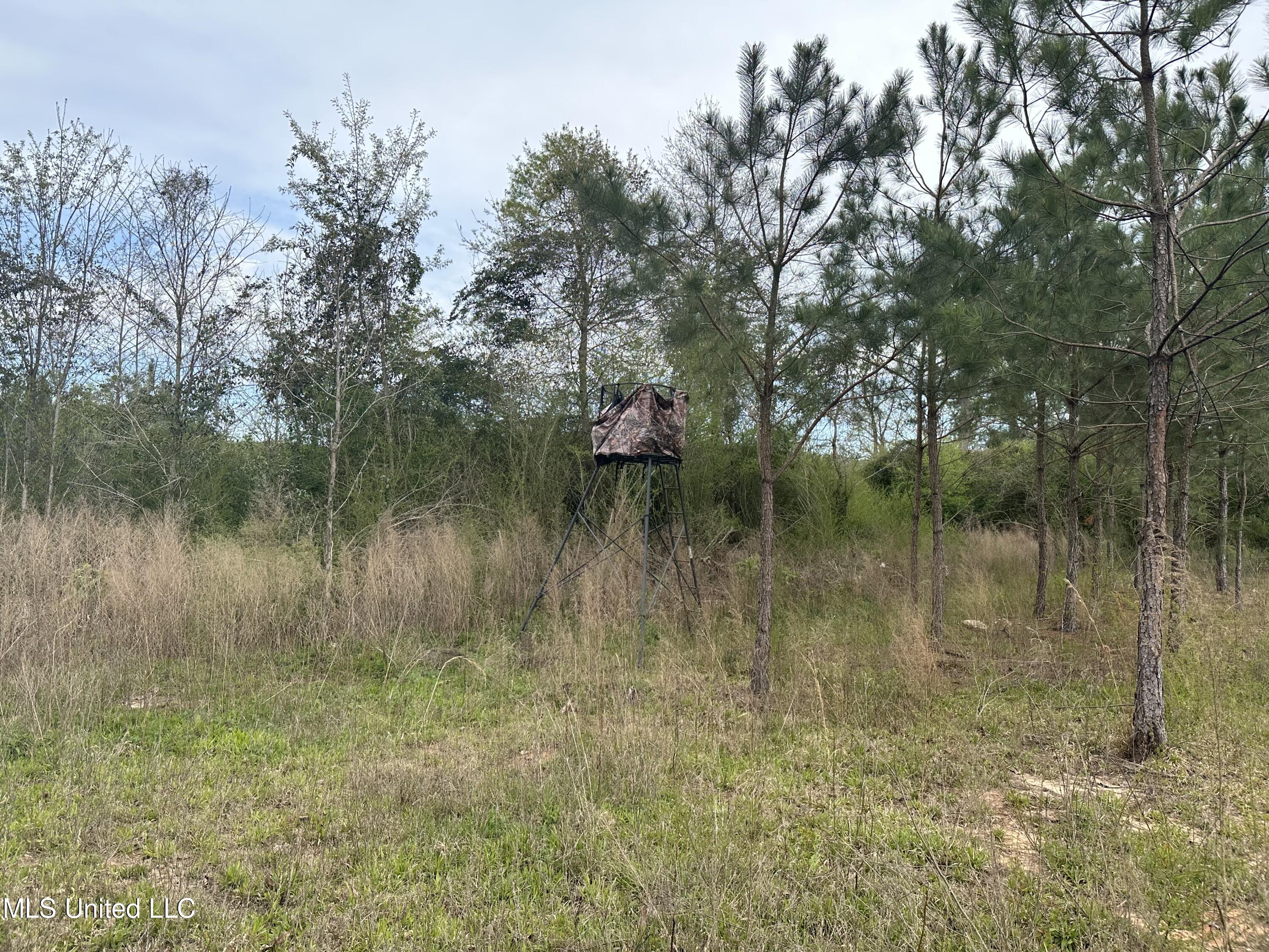 240 Mill Branch Road Pulaski, MS 39152 - Photo 5 of 18 IMG_5116