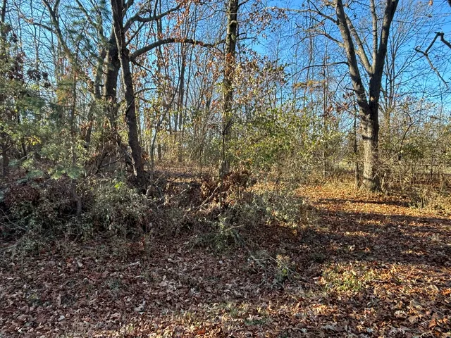 $5,000 | 617 Brookside Drive, Varna, IL 61375