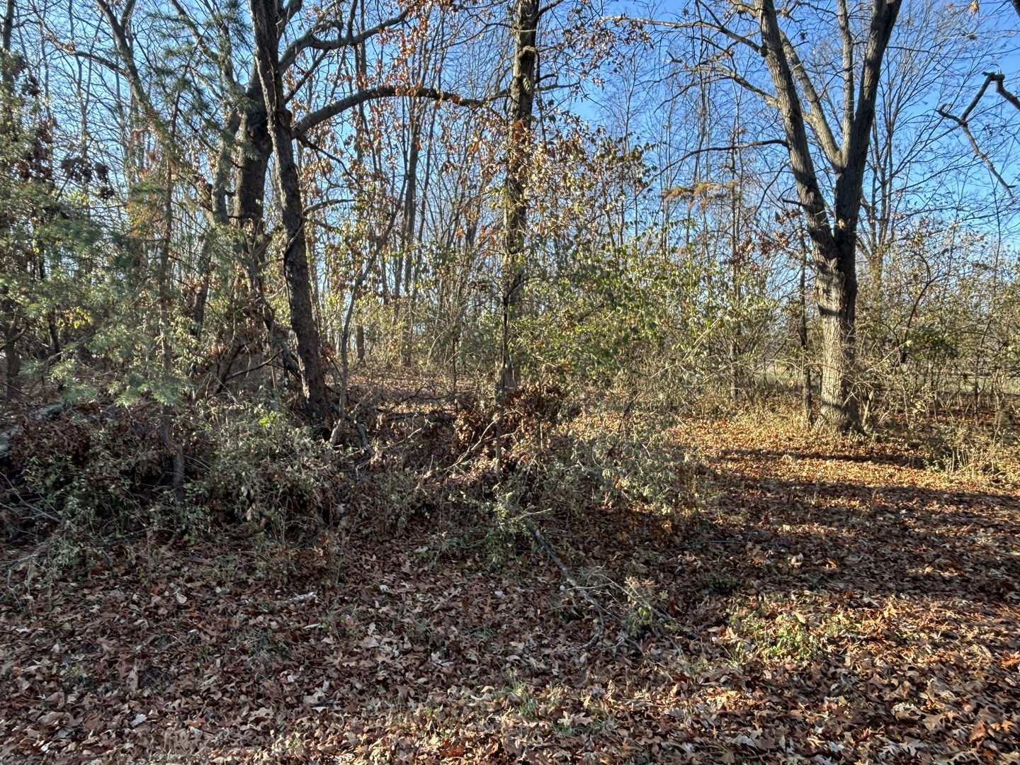 617 Brookside Drive Varna, IL 61375 - Photo 2 of 6