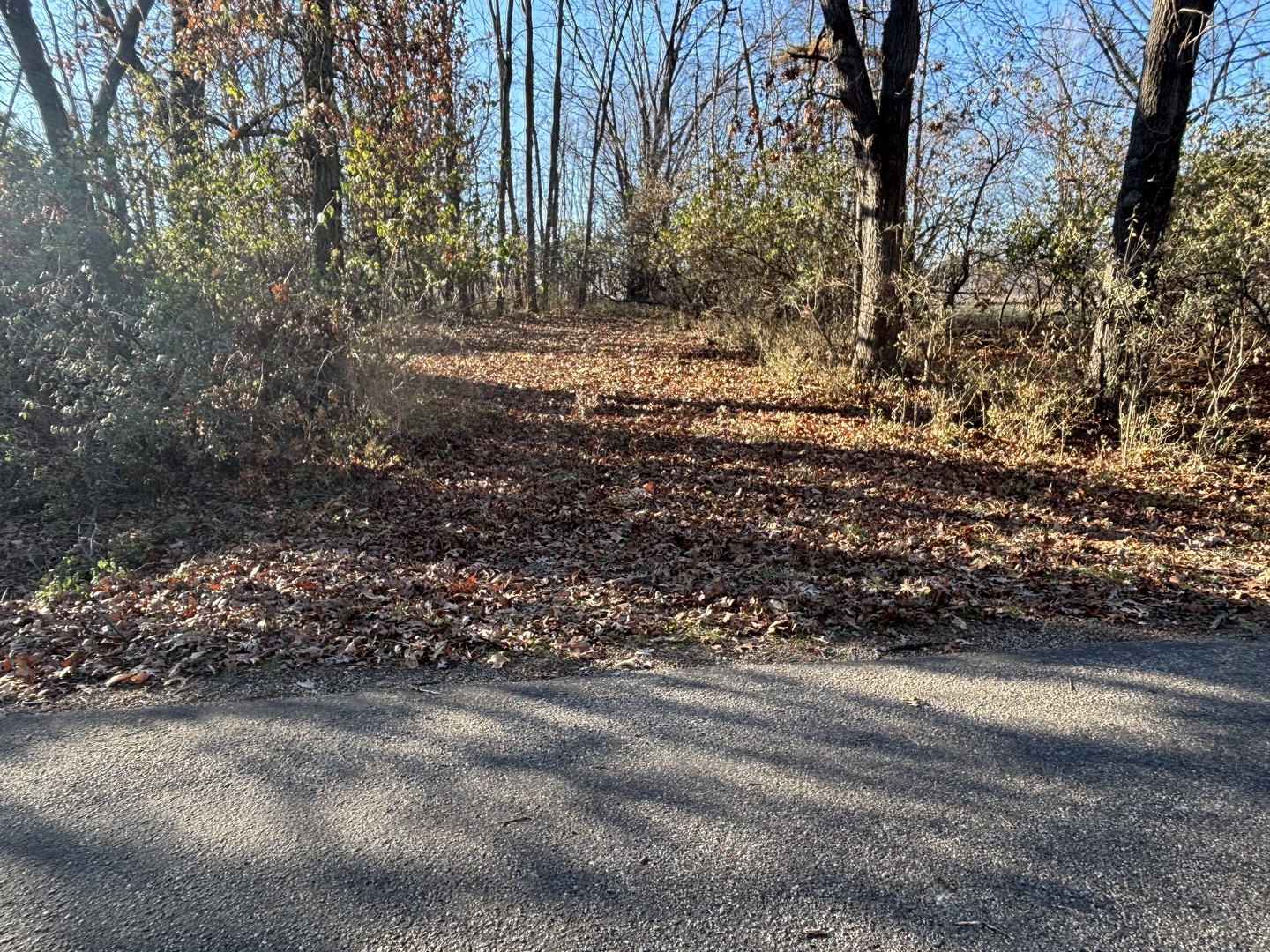 617 Brookside Drive Varna, IL 61375 - Photo 3 of 6