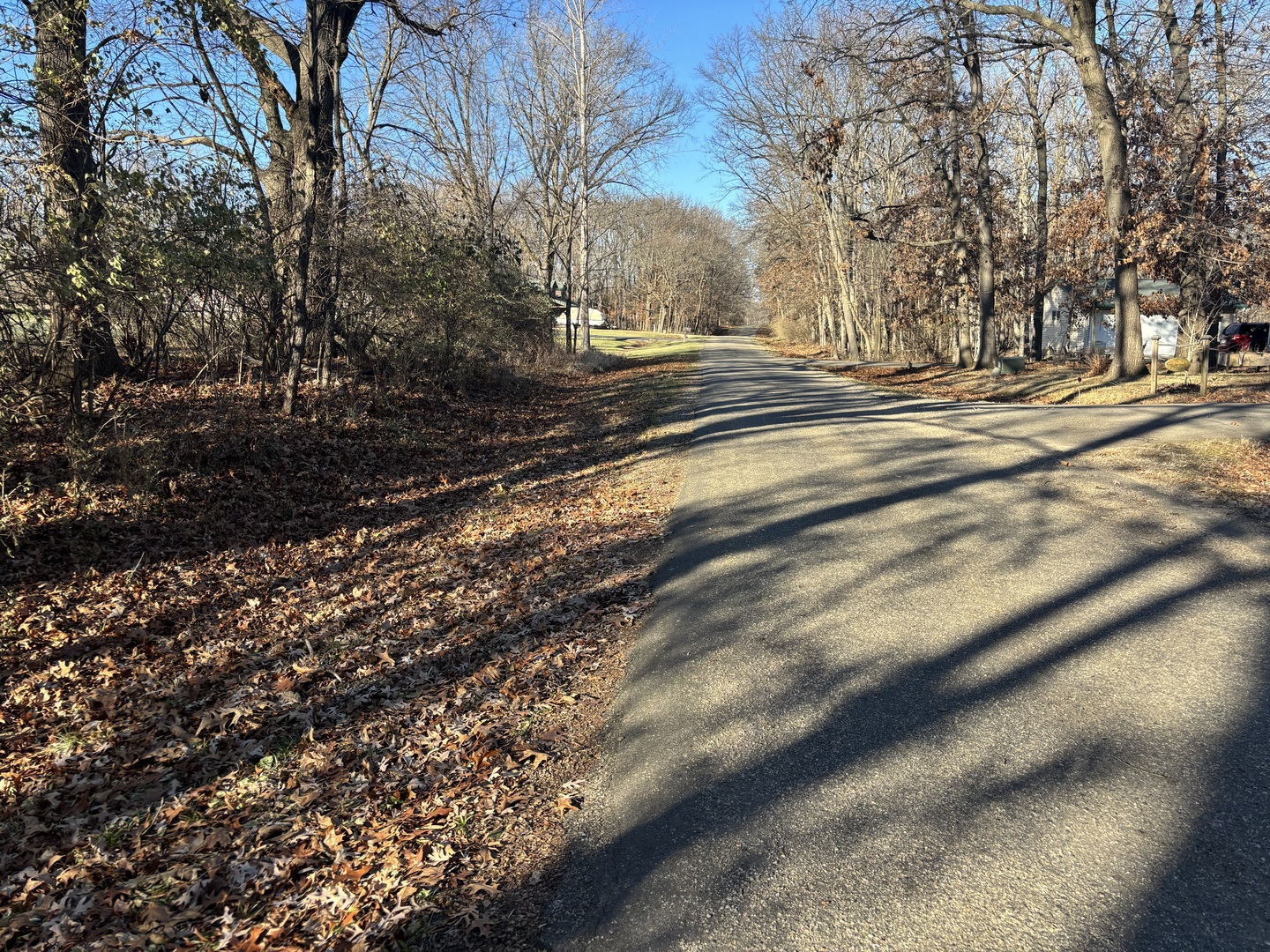 617 Brookside Drive Varna, IL 61375 - Photo 5 of 6